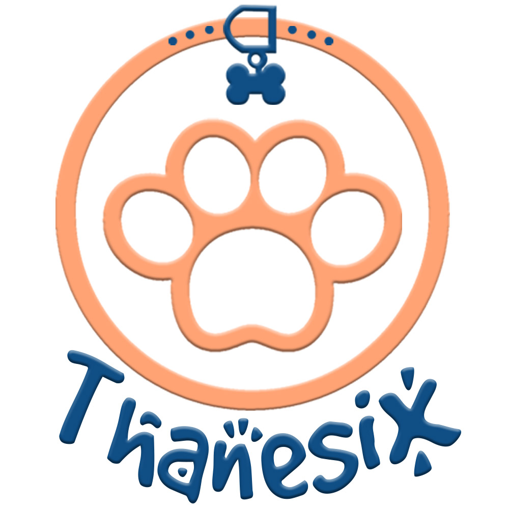 Thanesix  com (thanesixcom)