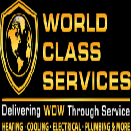 World Class  Services
