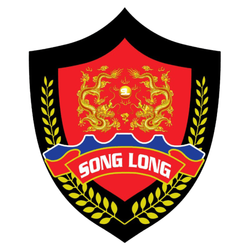 baove  songlong (congtybaovesonglong)
