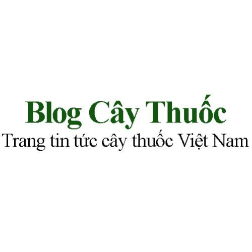 Blog Cây Thuốc - Trang tin tức cây thuốc Việt  Nam (blogcaythuoc)