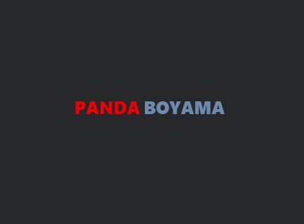 panda boyama
