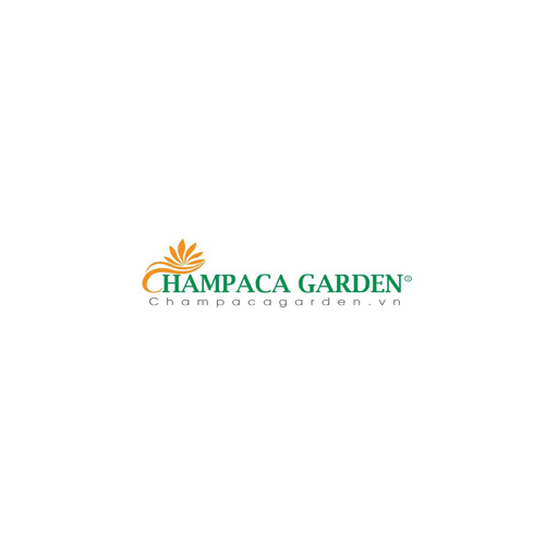 Champaca Garden  VN (champacagardenvn)