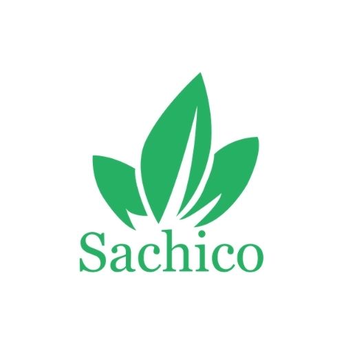 Sachico  Tương Lai Xanh (sachicoauthor)