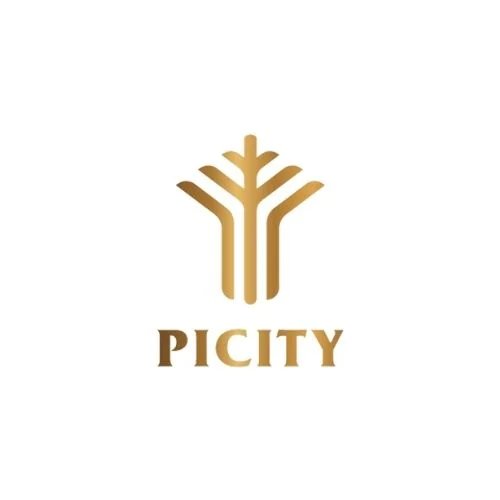 Picity  Sky Park (picityskyparkcom)
