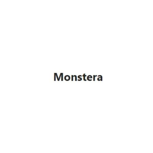cây trầu bà lá xẻ   Monstera (monsteravn)