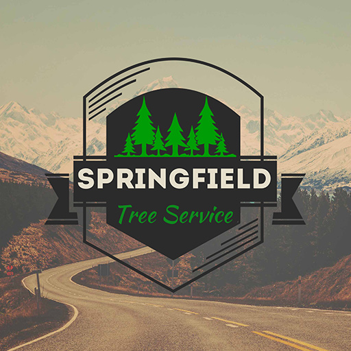 Springfield Tree  Service (springfieldtreeservice)
