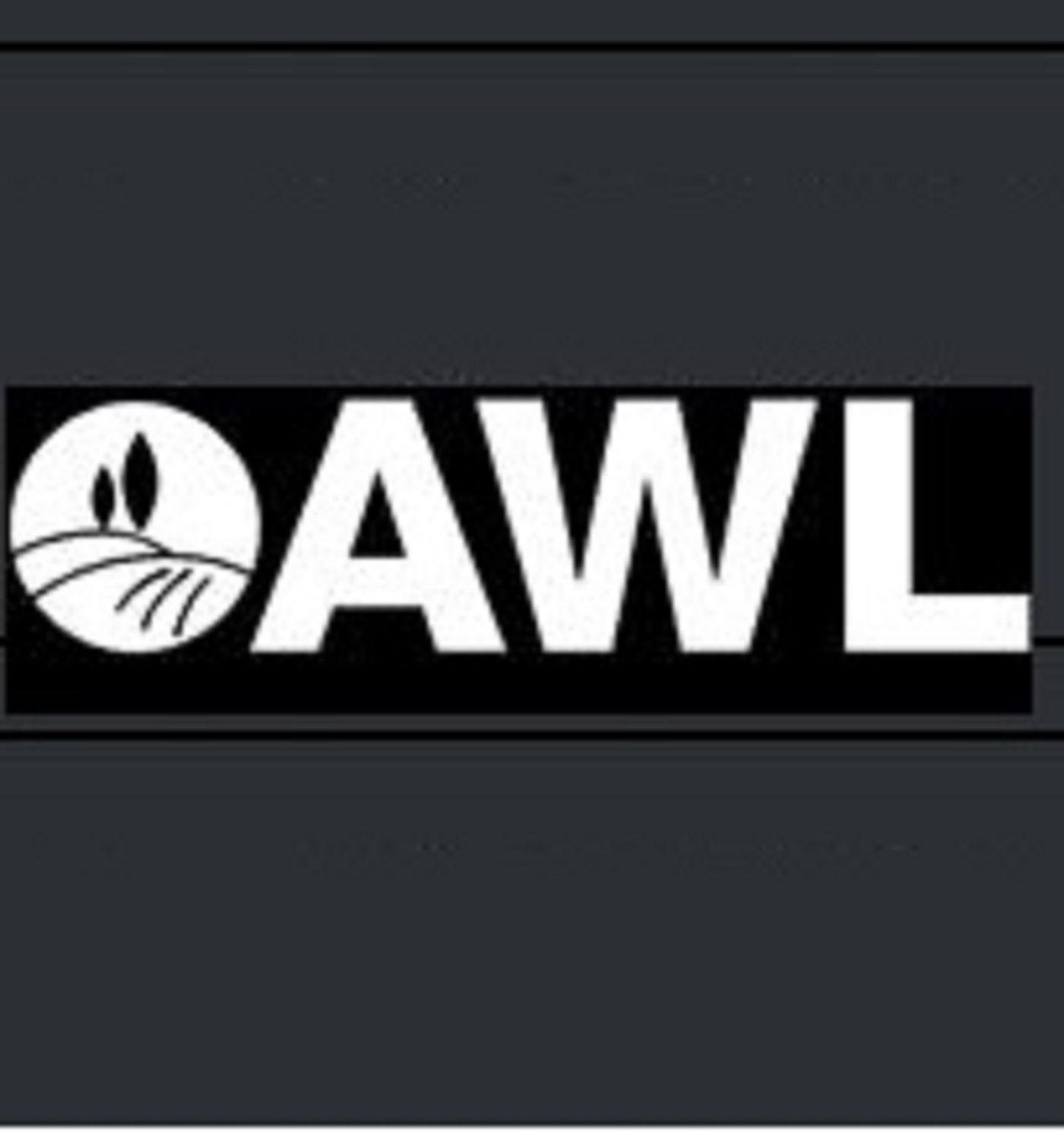 AWL  Inc (awlinc)