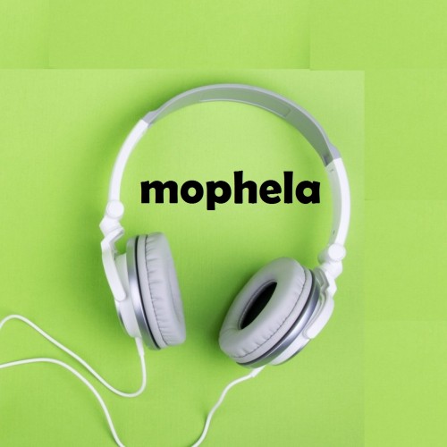 mophela  media (mophela_media1)