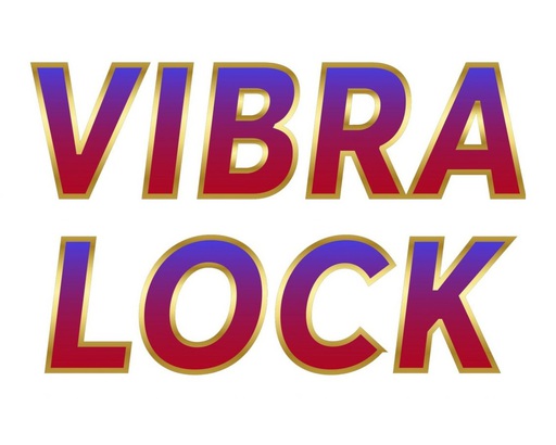 Khoá cửa vân tay  Vibra Lock