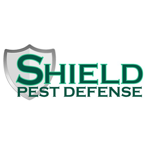 Pest  Control (exterminatorpestcontrol)