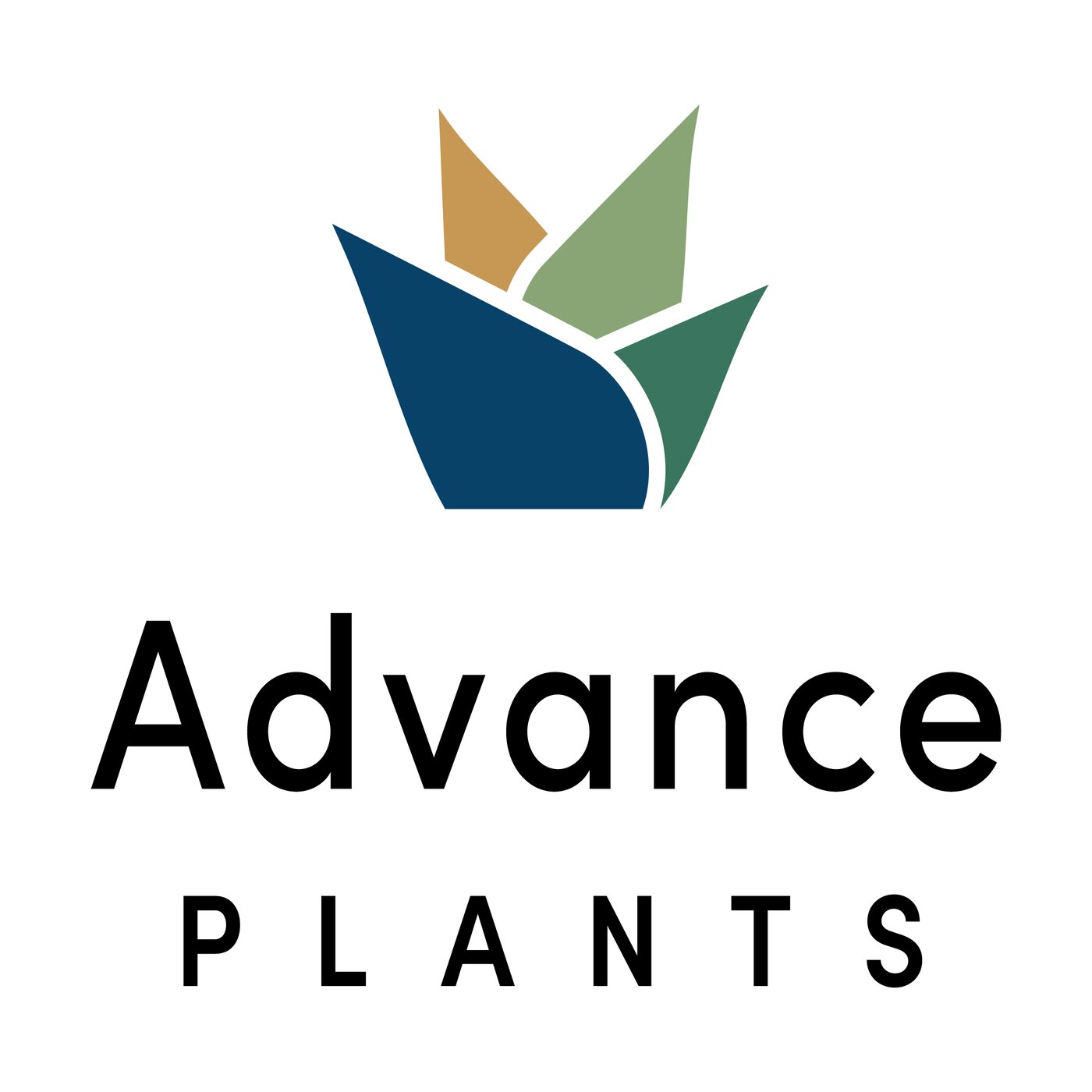 indoor  plant hire (advanceplantsau)