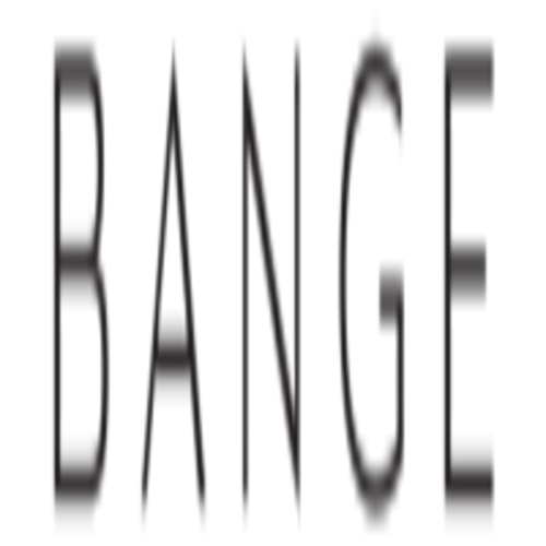 BANGE   VIETNAM (bangevn)