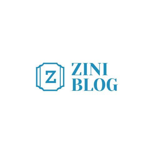 Zini  Blog (zini_blog)