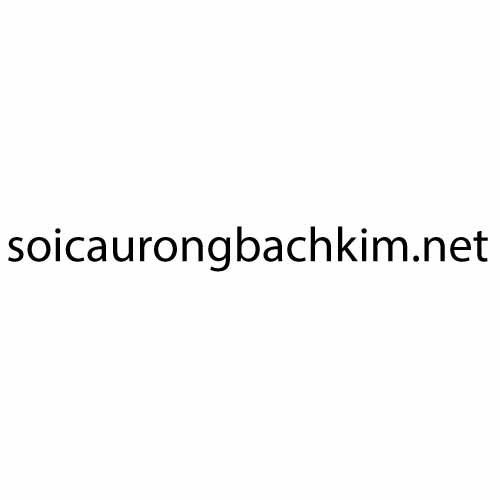 Soi Cầu  Rồng Bạch  Kim (soicaurongbachkim_net)