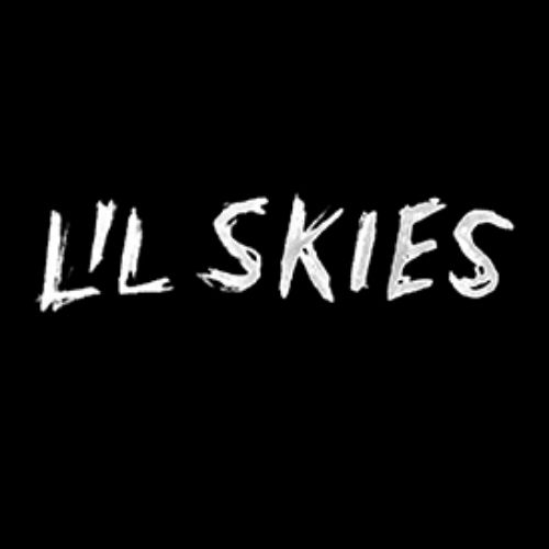 Lil  Skies (shoplilskies)
