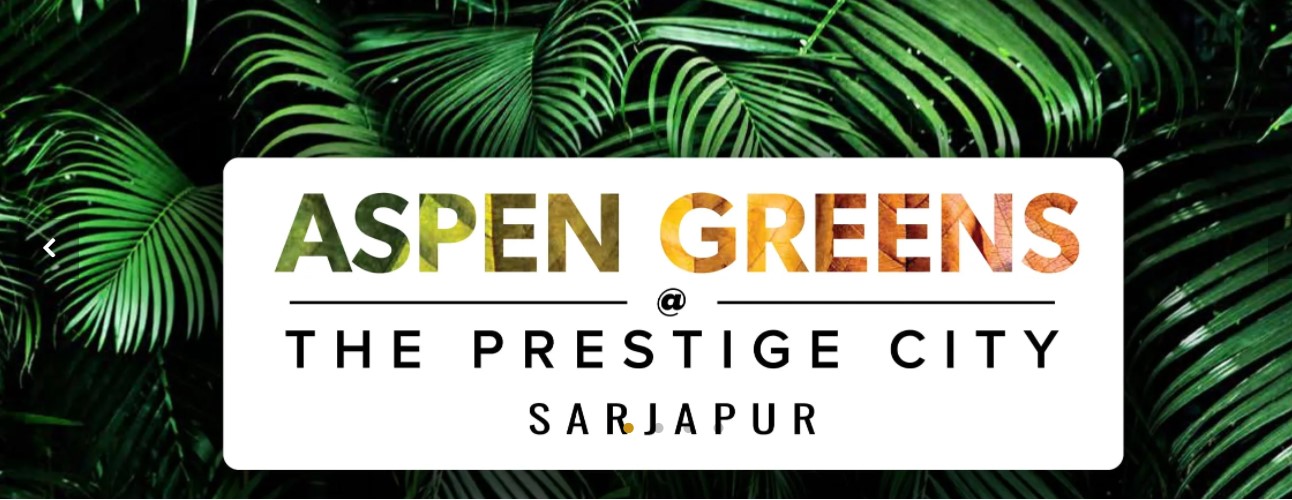 Prestige  Greens (prestigeaspengreens)